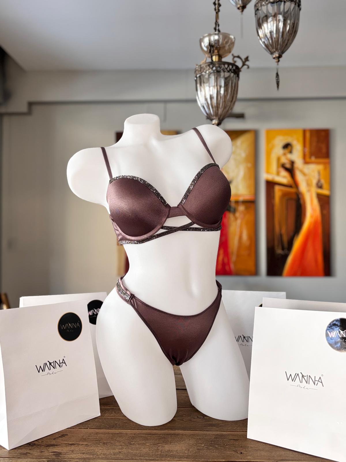 Kahve Işıltısı – Taş Şeritli Mikro Kumaş Sütyen Takımı - Görsel 3